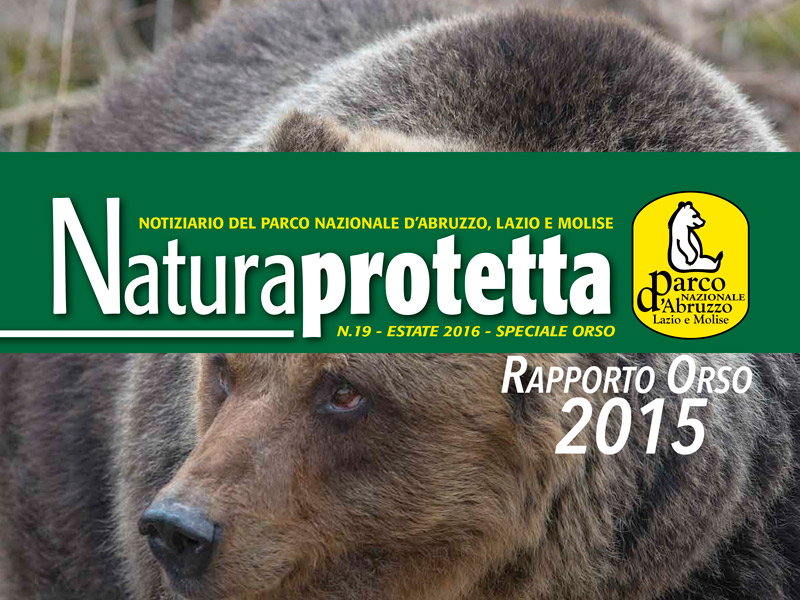 Rapporto Orso 2015 - Natura Protetta