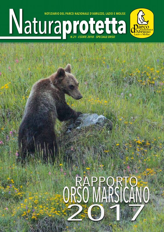 Pubblicato il Rapporto orso bruno marsicano 2017
