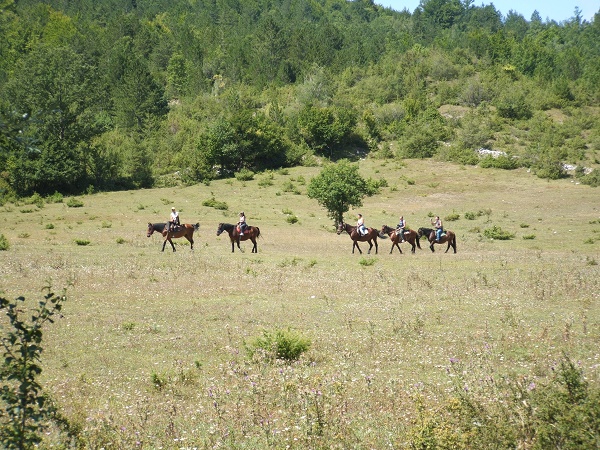 Escursioni a cavallo