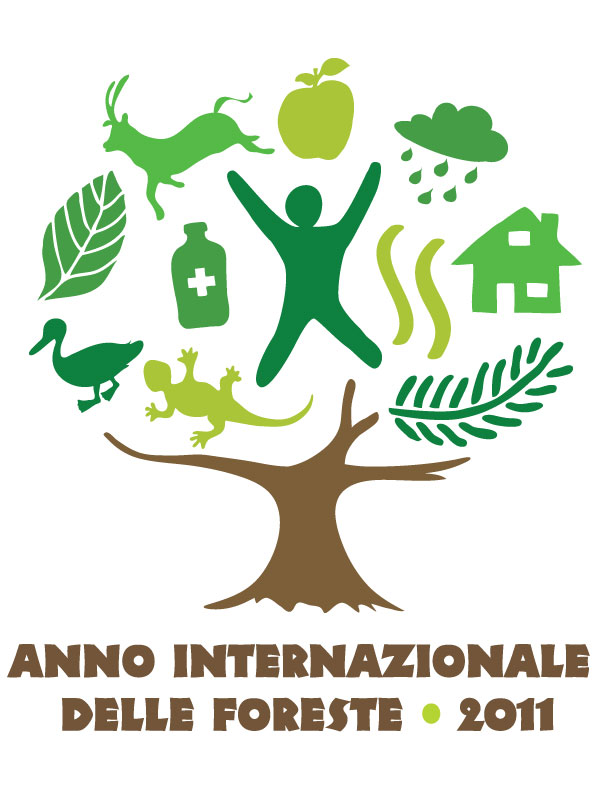 Logo Anno Internazionale delle Foreste